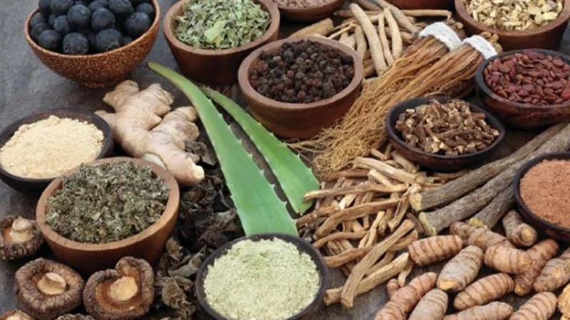 ayurvedic-raw-herbs