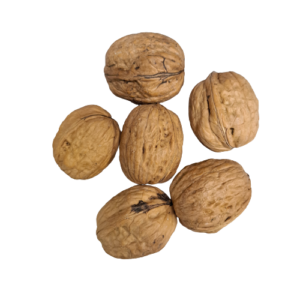 AKhrot akha , Walnut loose