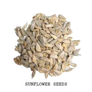 Sunflower Seed, Surajmukhi Seed,White Surajmukhi Seed