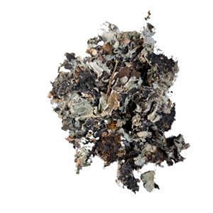 Dagad phool, Stone Flower Pack