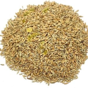 Agheda Beej, Apamarg Seed,
