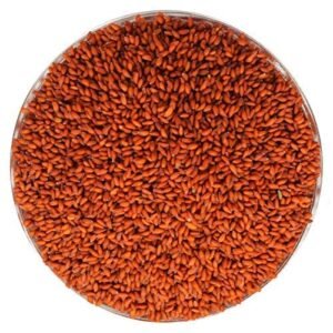 Aseriyo,ઍસેરિયો ,Halim Seed.