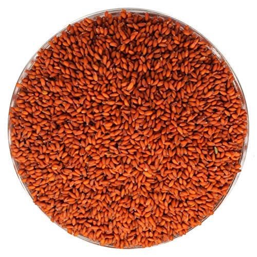 Aseriyo,ઍસેરિયો ,Halim Seed.